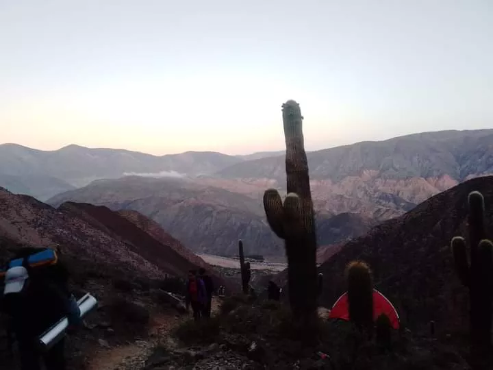 FB_IMG_1680454350452