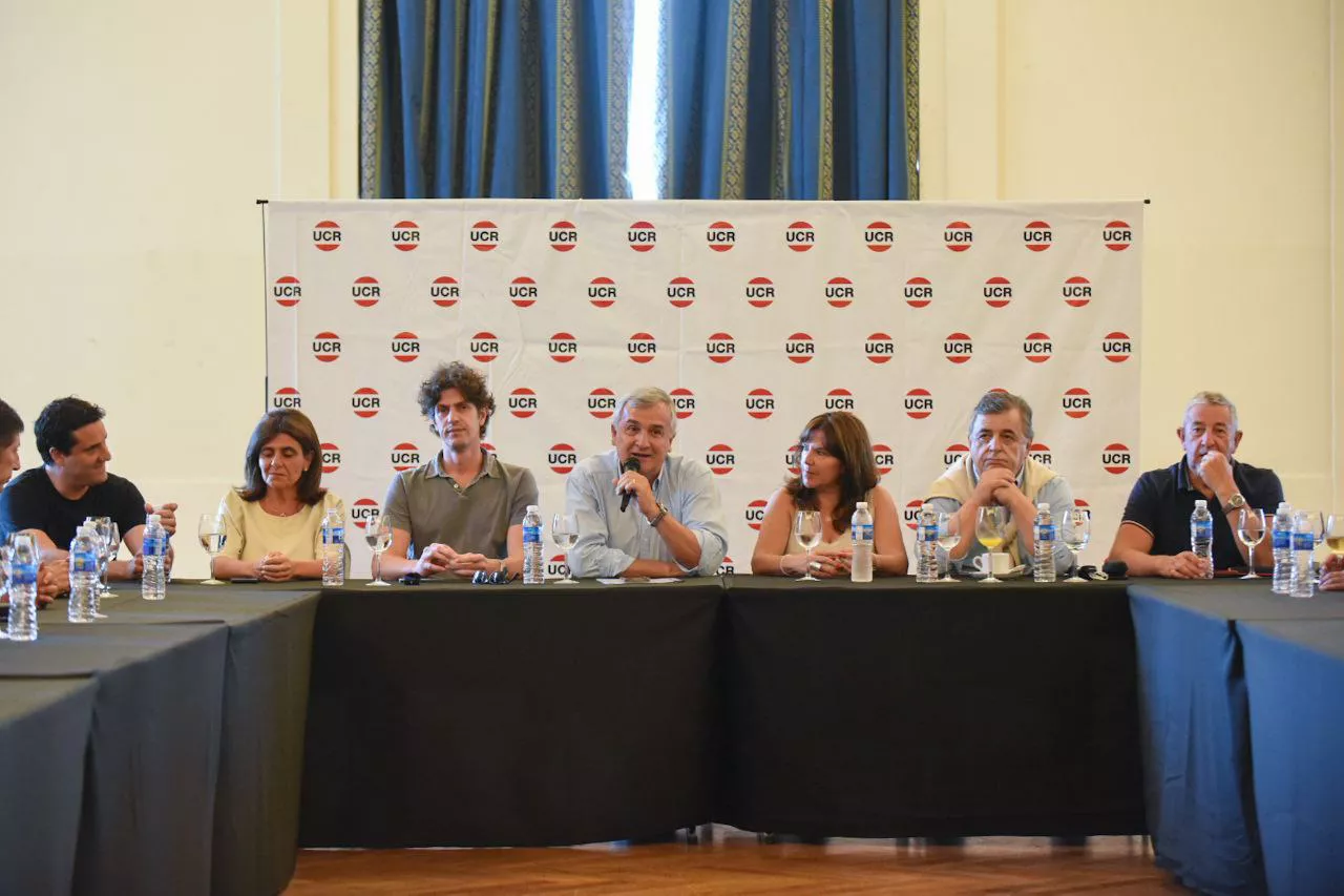 mar del plata radicalismo3