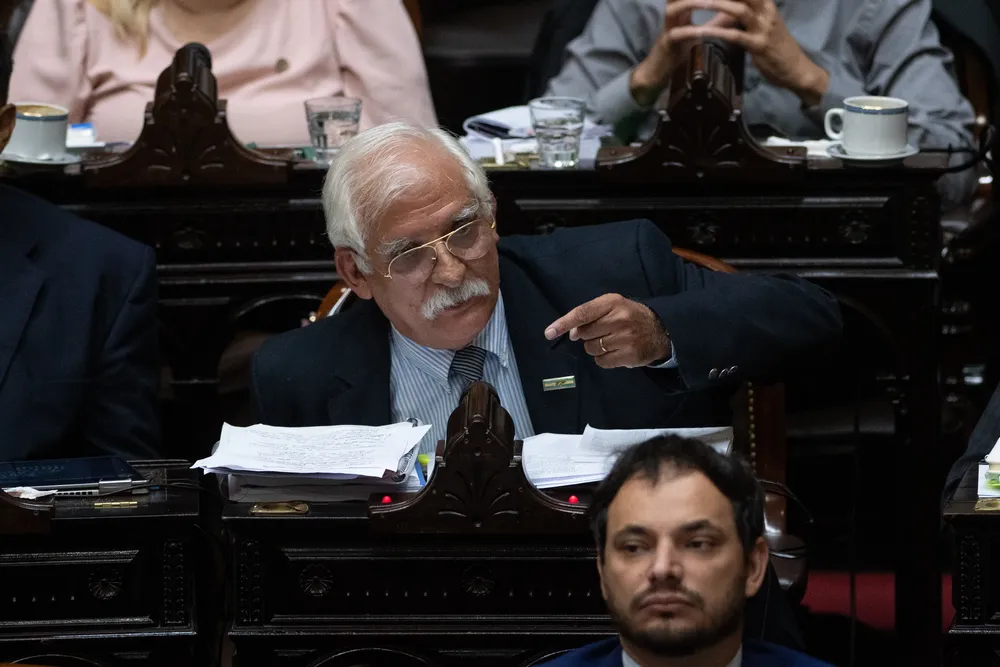 el-oficialismo-de-diputad_1042766