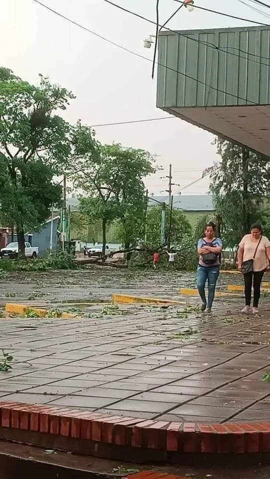 FB_IMG_1728350341522