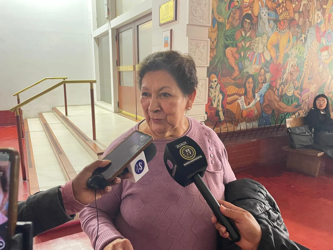 mari ferrin diputada
