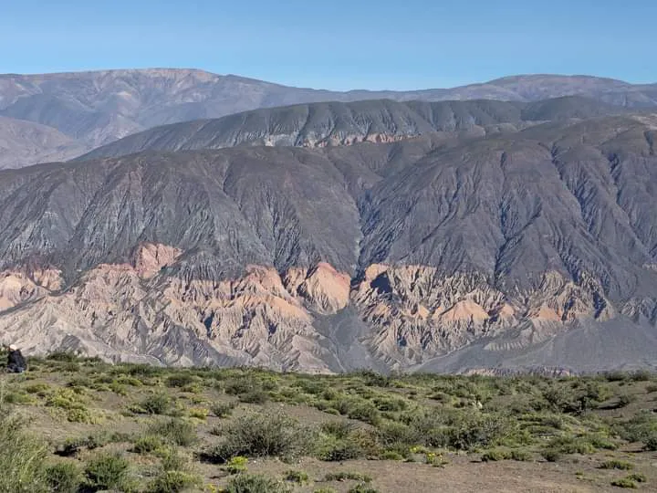 facebook punta corral 2024 (65)