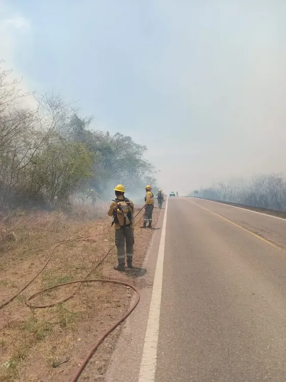 incendios forestal ledesma santa barbara1