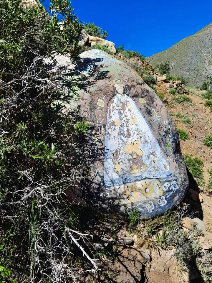 facebook punta corral 2024 (130)