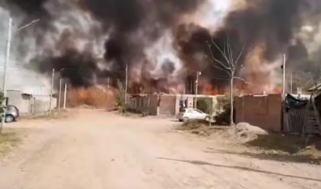 Incendio Alto Comedero  pastizales2