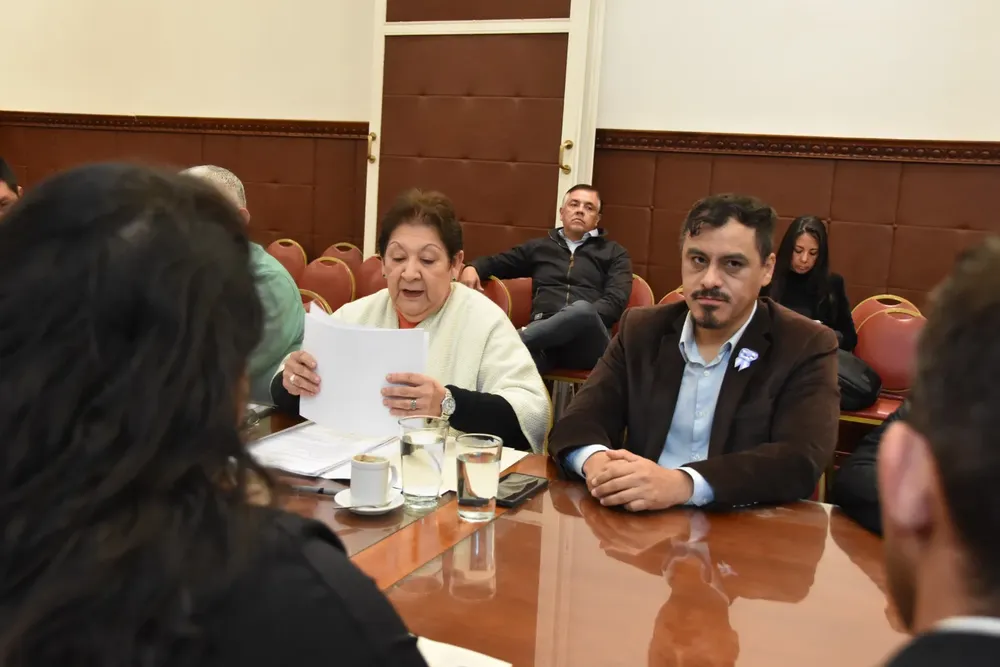 Comisión educación legislatura reunión4