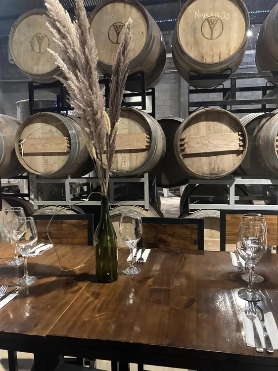 antopo wine bodega vinos2