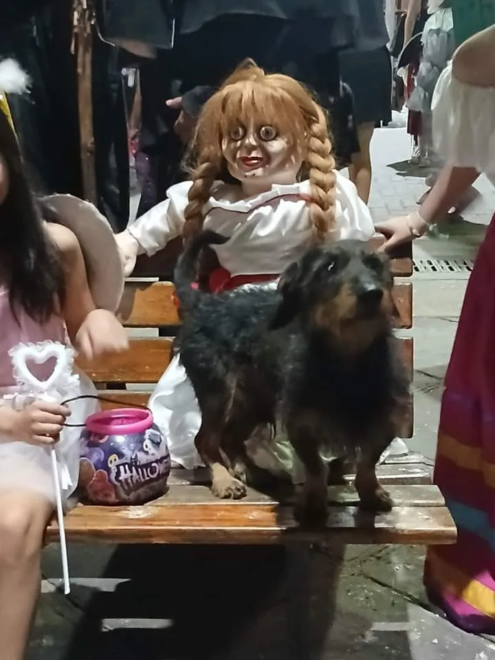 FB_IMG_1730461136964