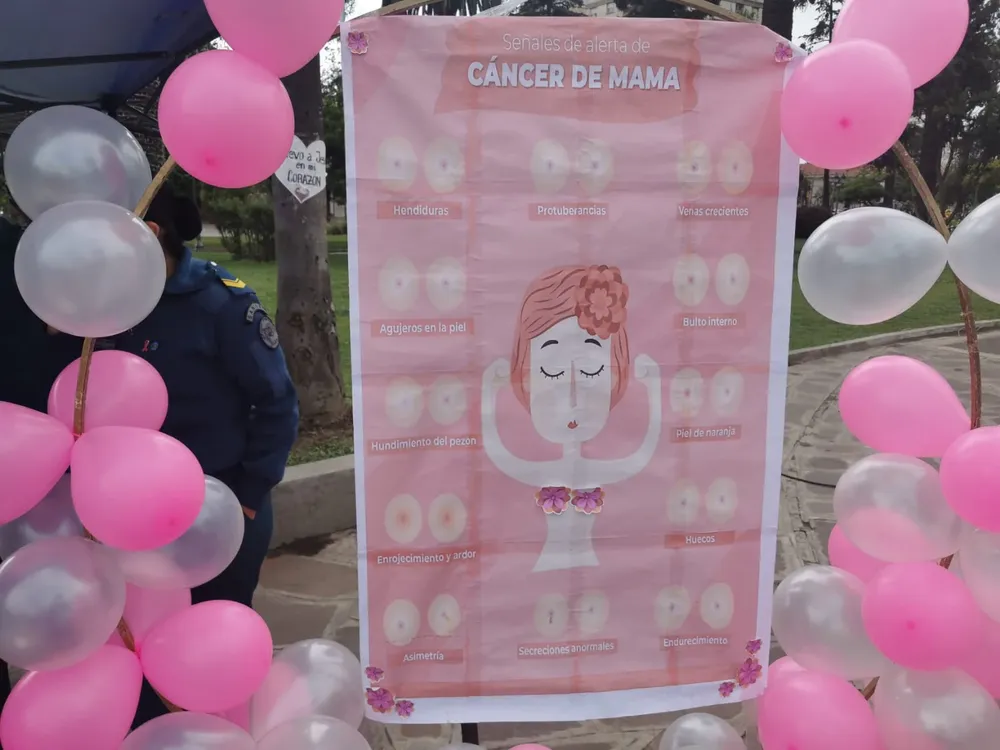 octubre rosa campaña mujer cancer mama