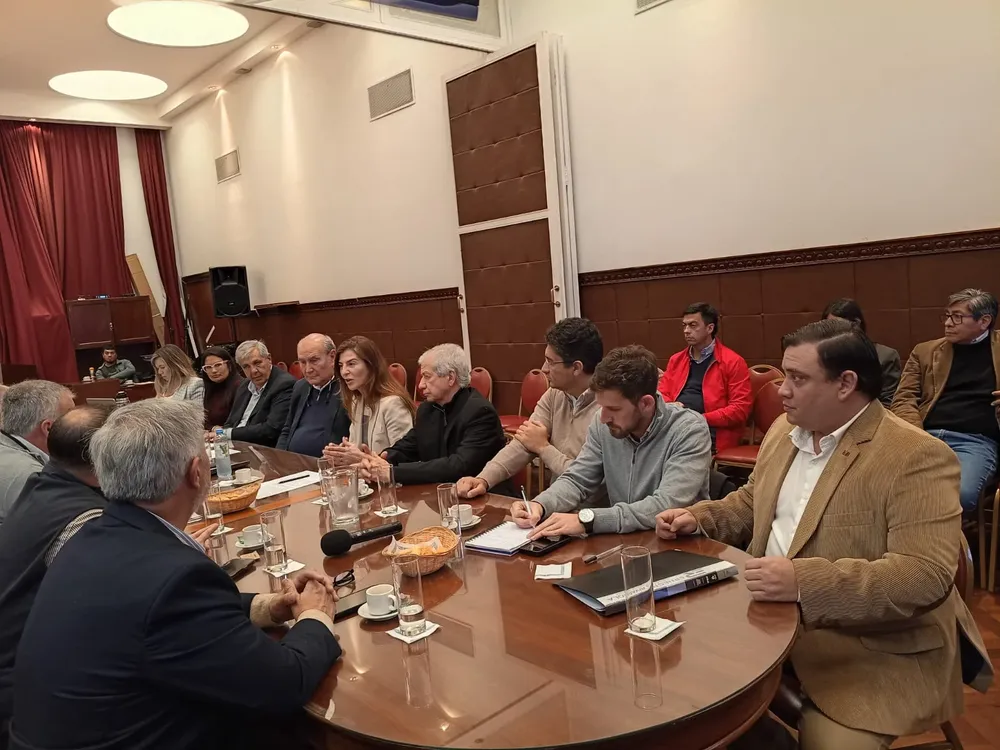 diputados - betina romero ferrocarril 5