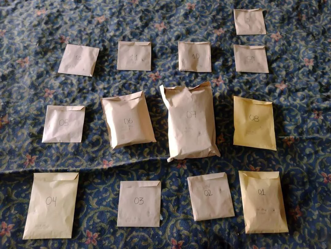 FB_IMG_1645288967351