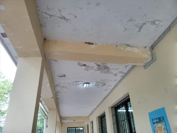 FB_IMG_1613300669991