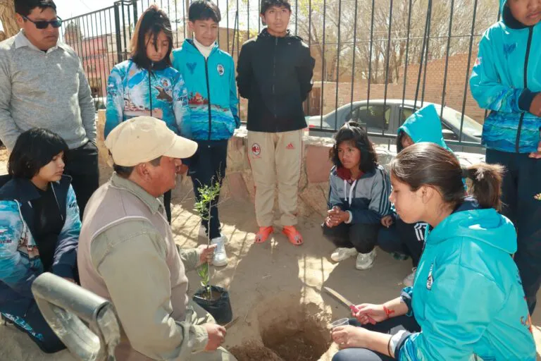 WhatsApp-Image-2024-09-05-at-17.43.37-1-768x512