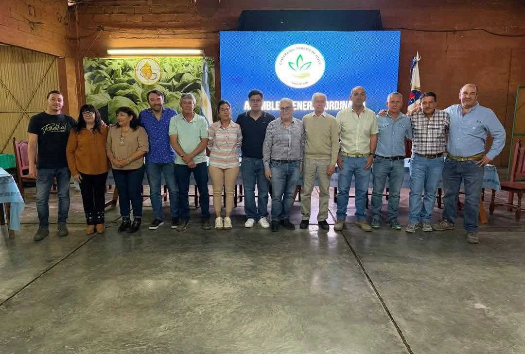 elecciones camara de tabaco