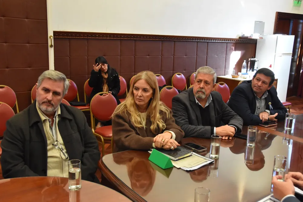 union empresario y camara de industria legislatura (3)