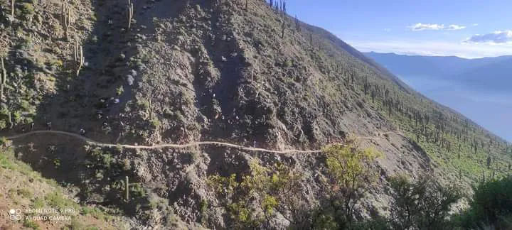 facebook punta corral 2024 (100)