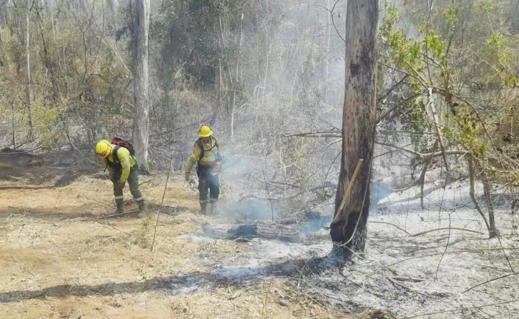 incendio forestal yungas1