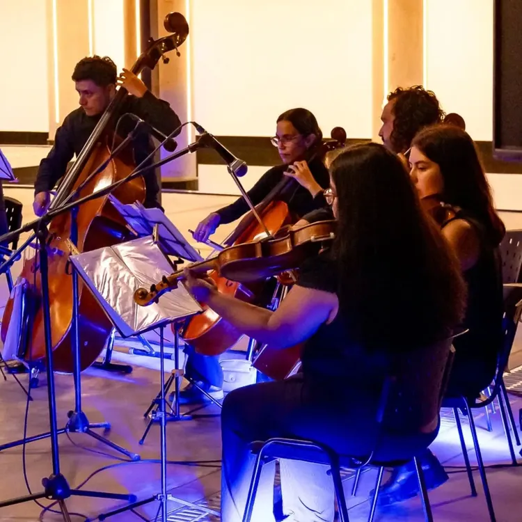 CAMERATA RICARDO VILCA1