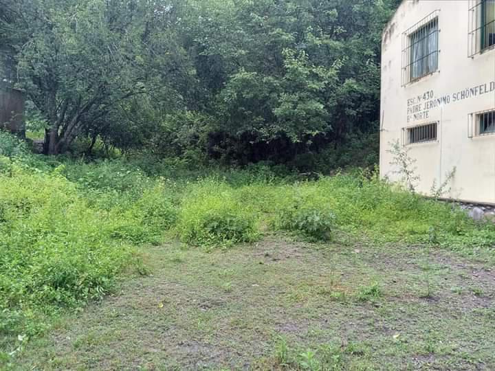 FB_IMG_1613300685044