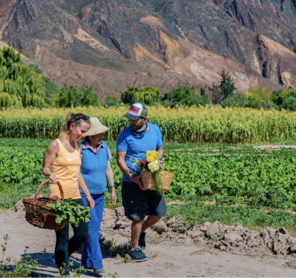 maimara turismo cultura