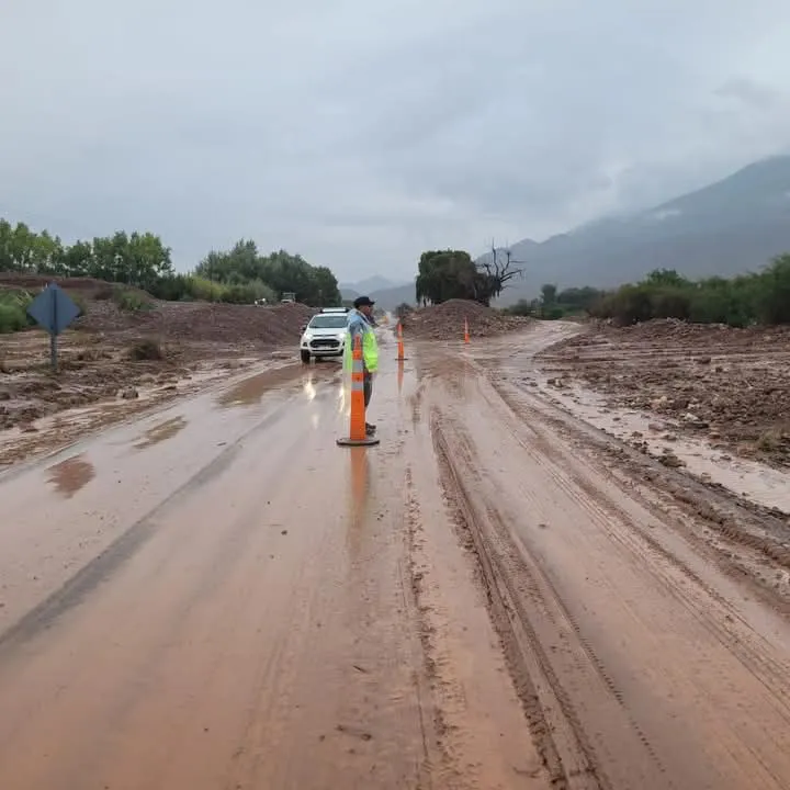 FB_IMG_1741482388723