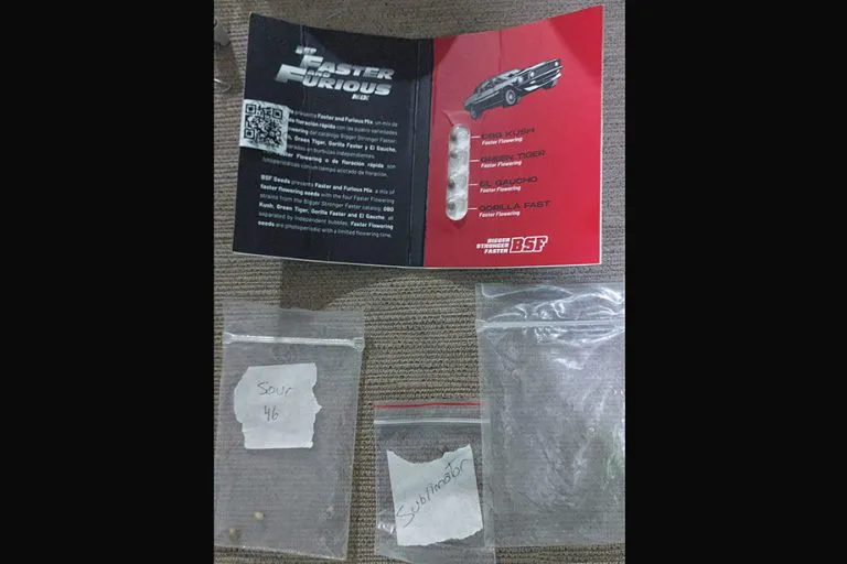 WhatsApp-Image-2025-09-08-at-10.15.25-768x512