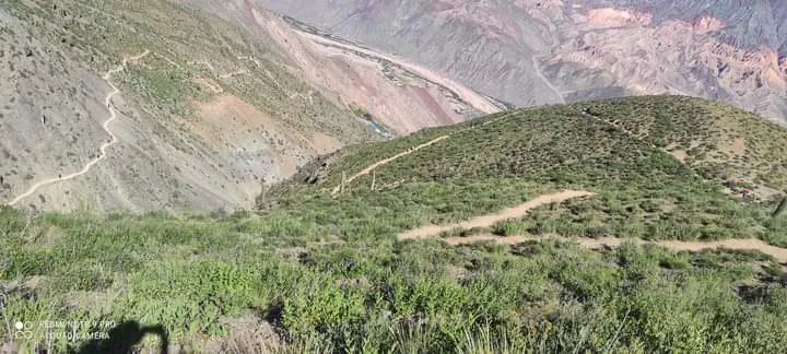 facebook punta corral 2024 (95)