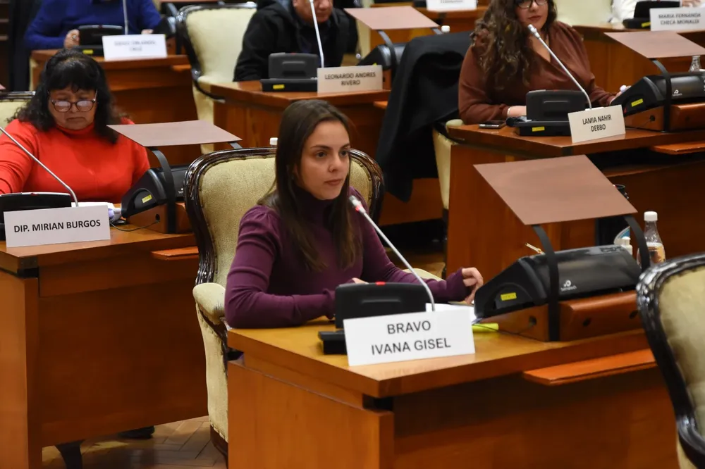 7ma sesion legislatura gisel bravo