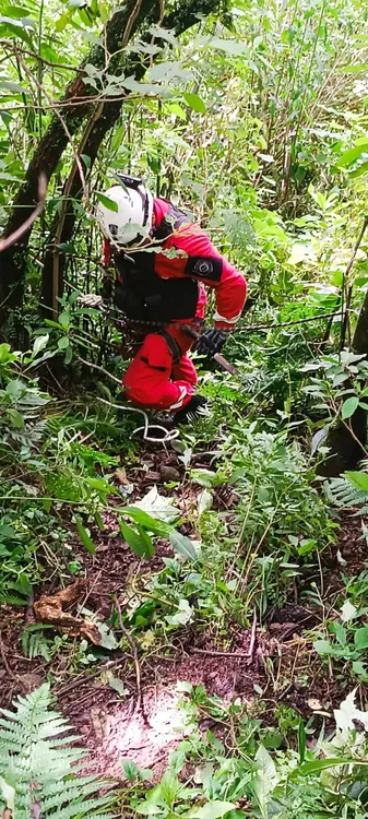 bomberos-jujuy-rescataron-dos-personas-que-desbarrancaron-reyes (2)