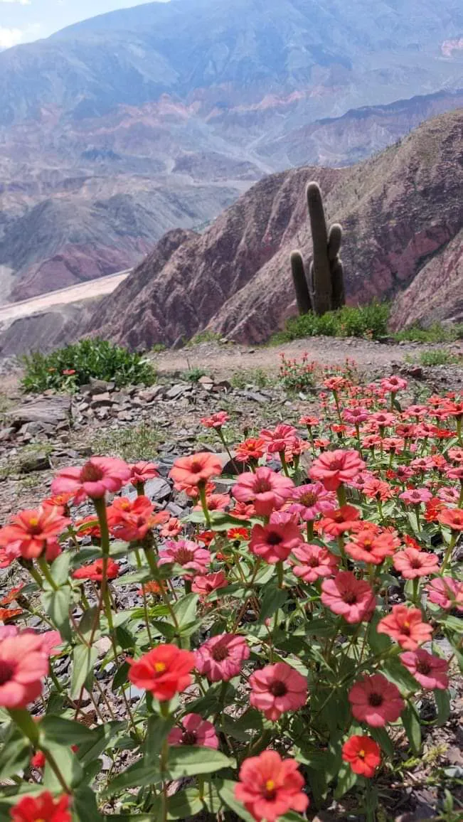 FB_IMG_1711225083546