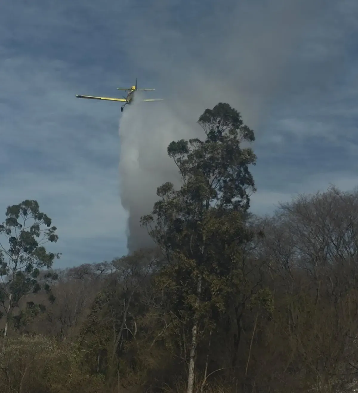 incendios forestal ledesma santa barbara