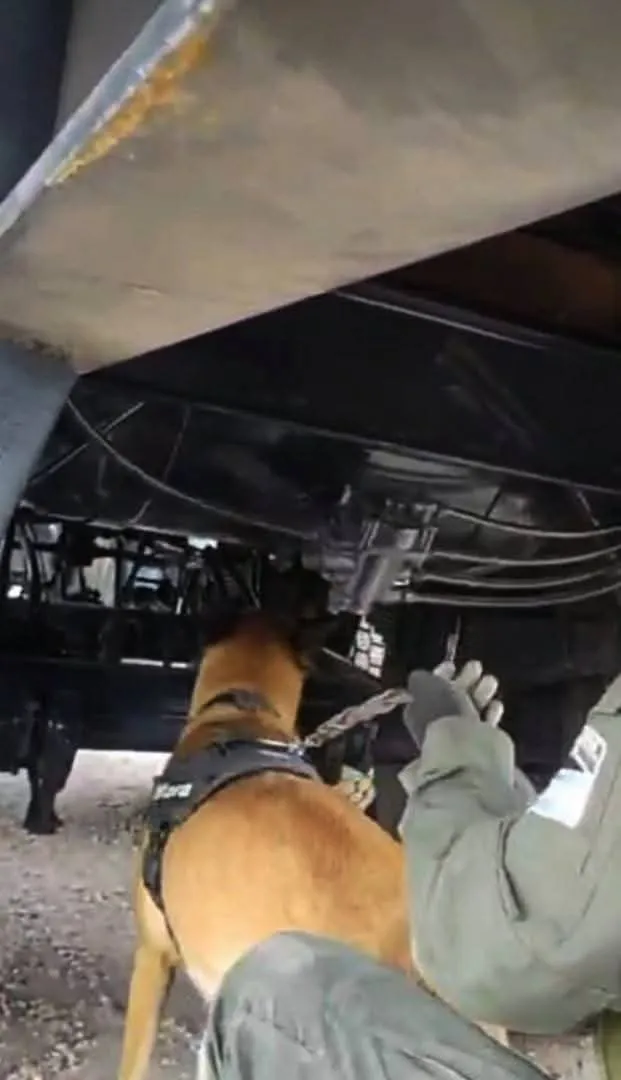 Gendarmería Nacional cocaina tres cruces 4