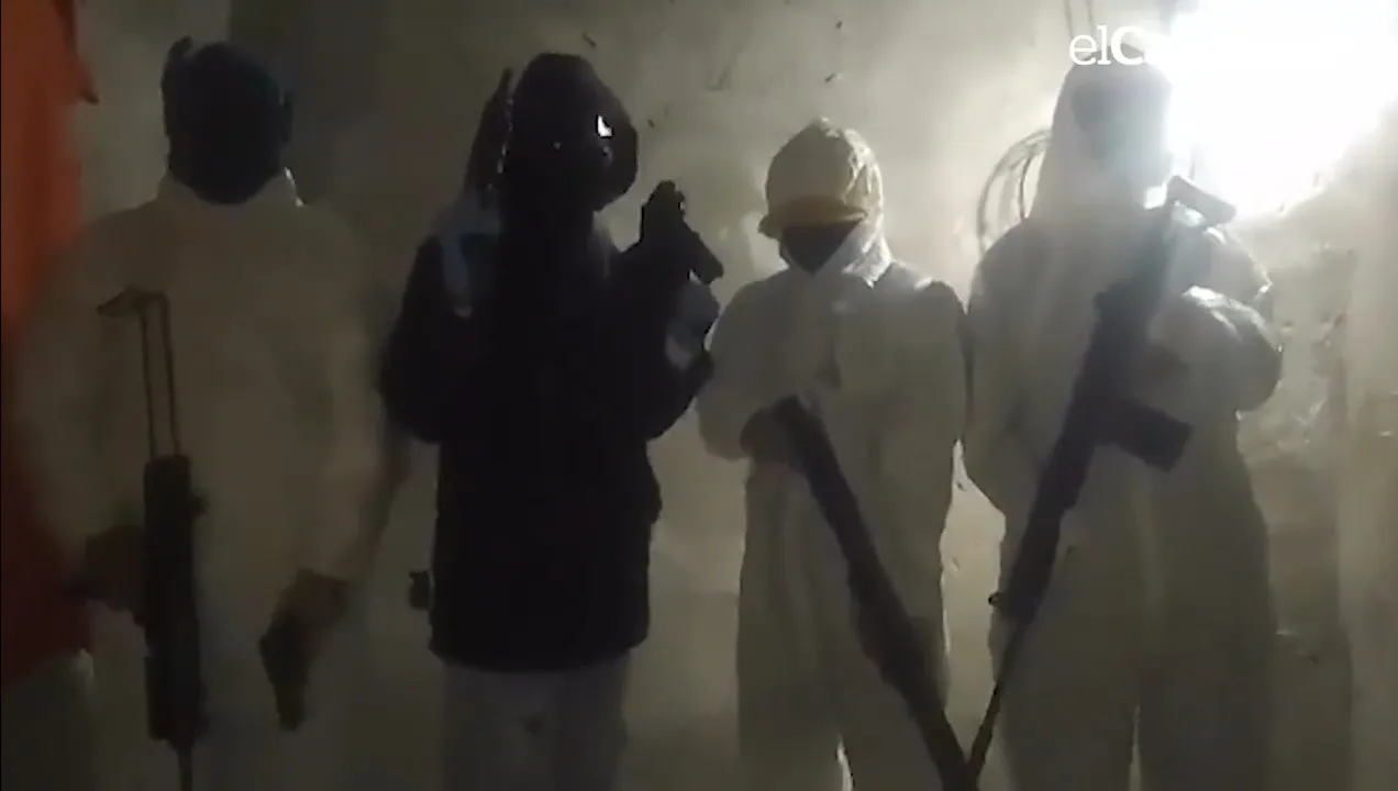 Screenshot_20241202-075343_Video Player