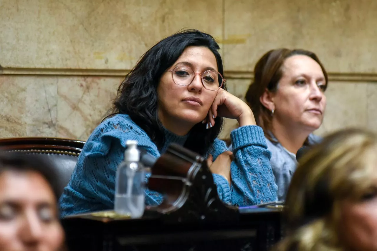 leila chaher diputada nacional