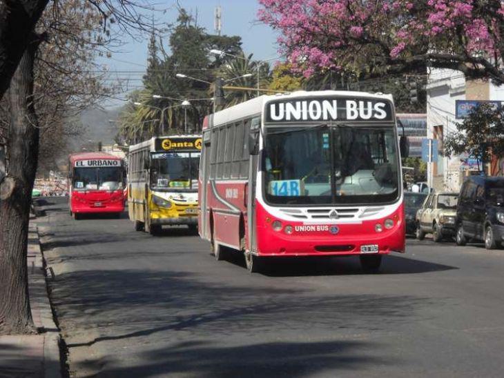 colectivos