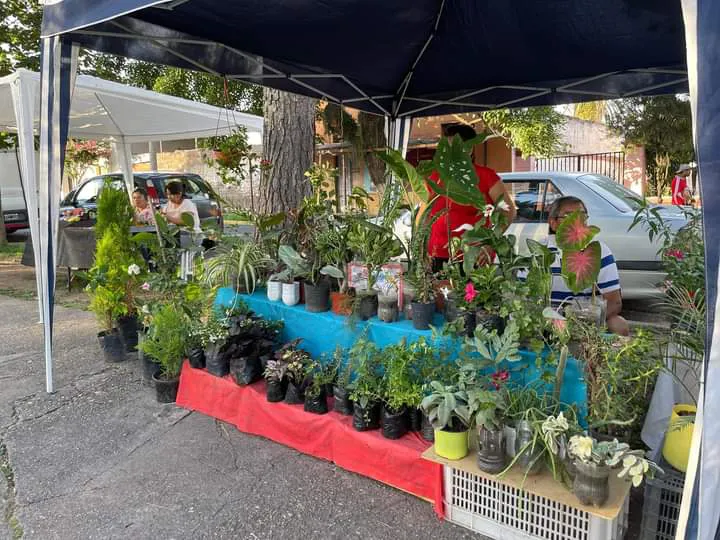 FB_IMG_1703032719820