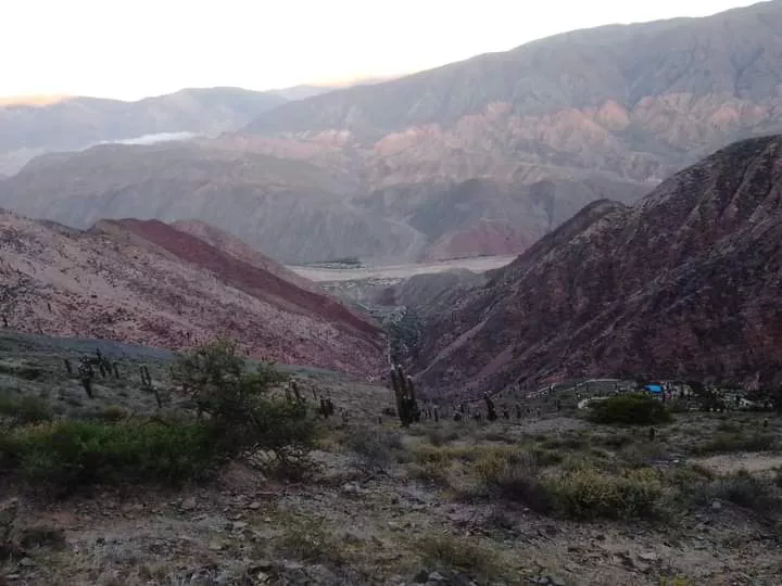 FB_IMG_1680454347837