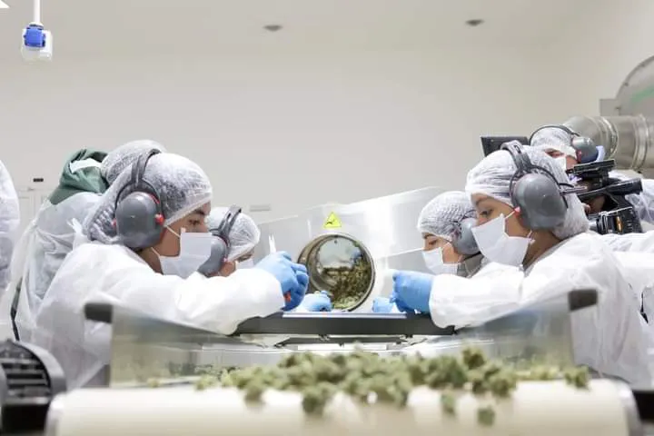 FB_IMG_1720124131039