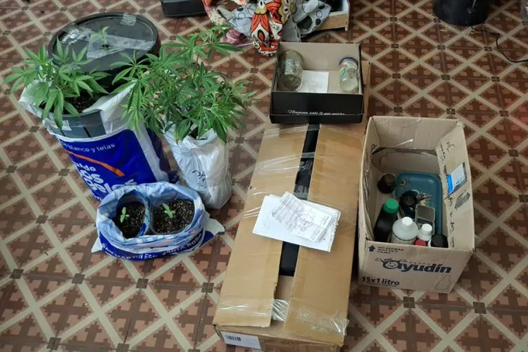 WhatsApp-Image-2025-09-08-at-10.15.19-2-768x512