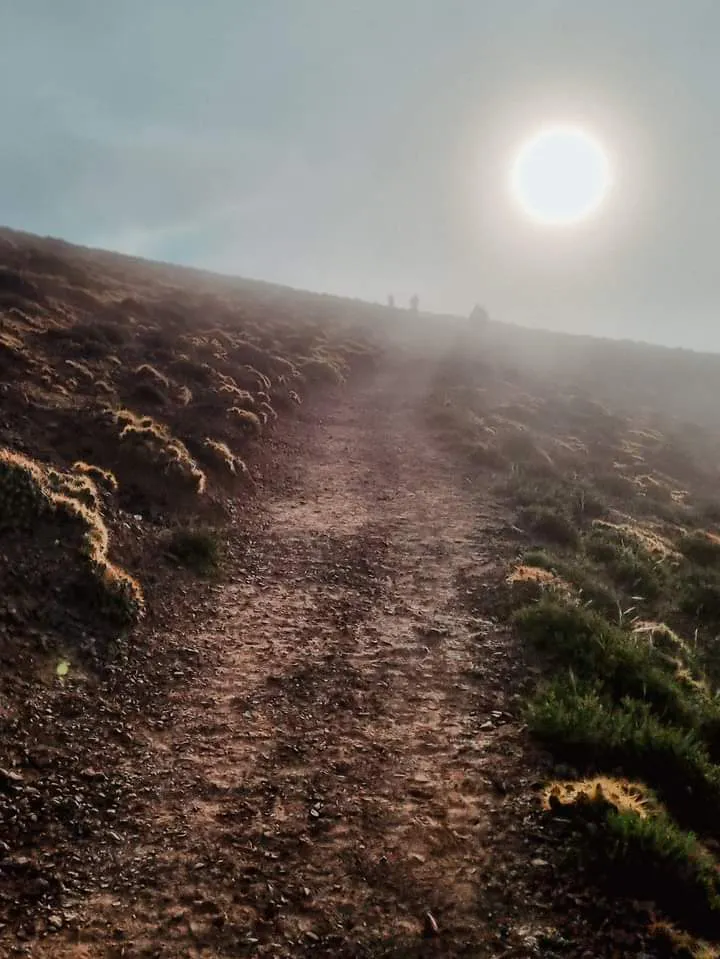 facebook punta corral 2024 (38)