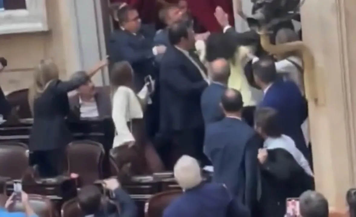 Diputadospelea 2