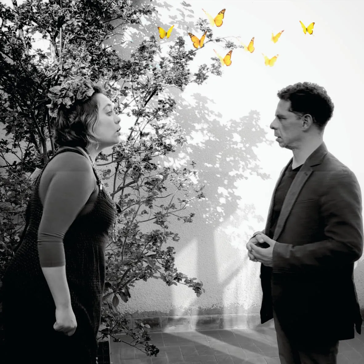 Teatro mariposas después de la lluvia 3