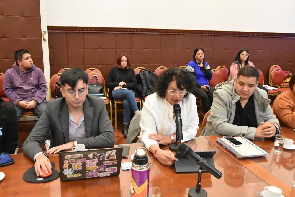 informe consejo provincial de la mujer