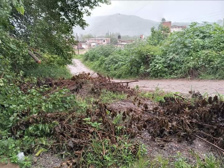 FB_IMG_1613300678928