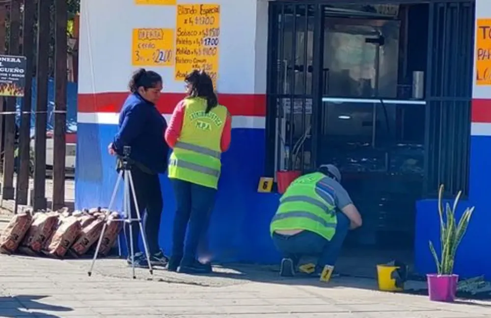 ROBO CARNICERIA PALPALA