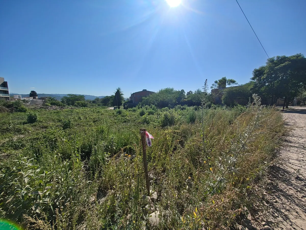 subasta lotes alto padilla