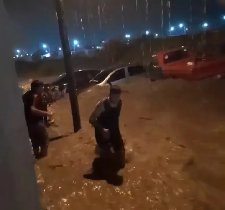 Screenshot_20240117-101730_WhatsApp