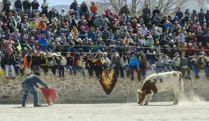 FB_IMG_1721790275662