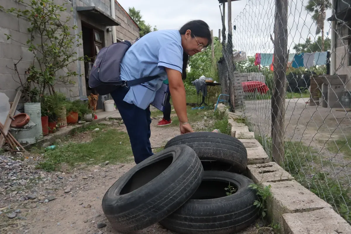 campaña contra el dengue