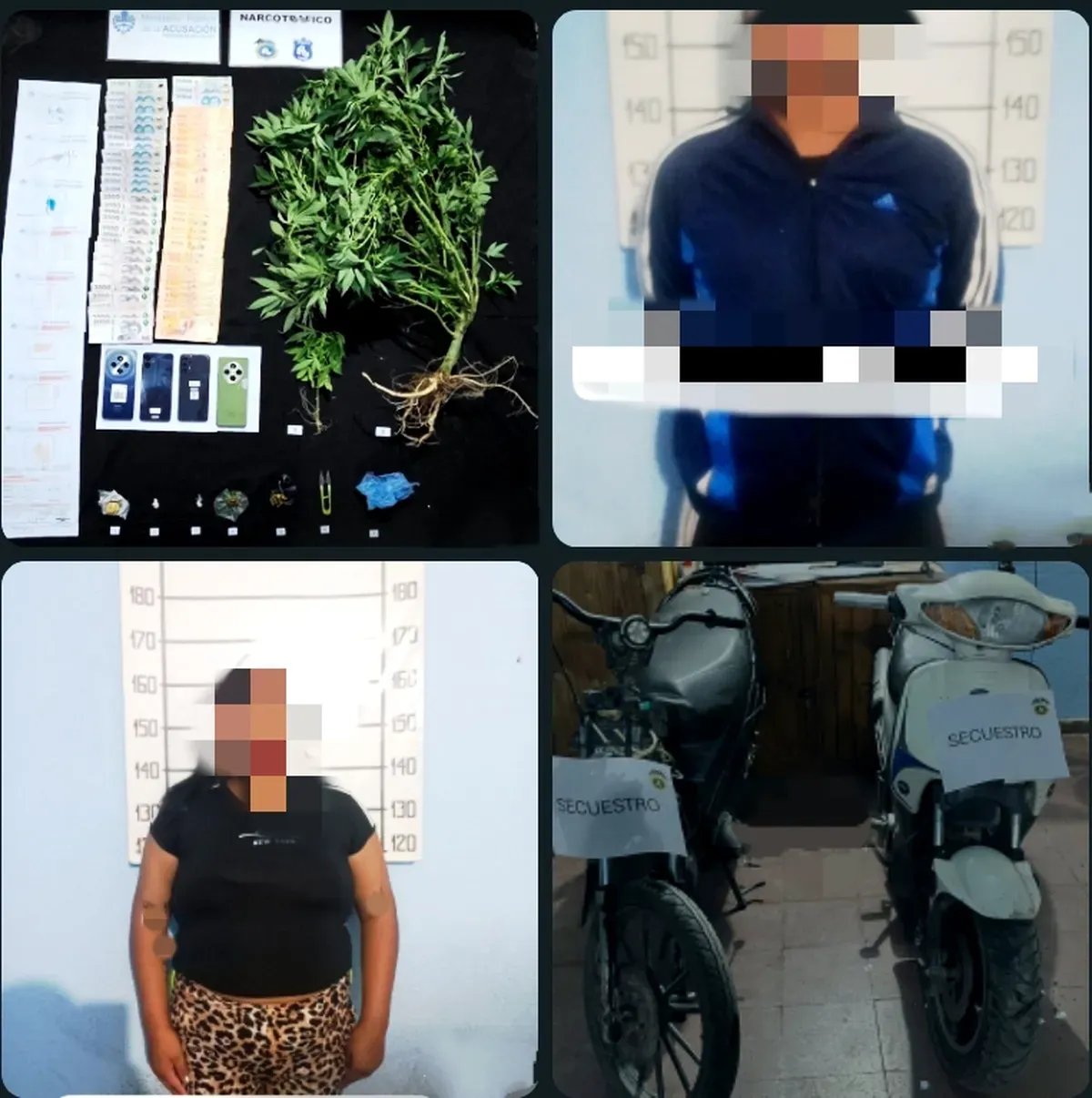 lucha-contra-el-narcomenudeo-jujuy-allanamientos-detenidos-y-secuestro-sustancias2